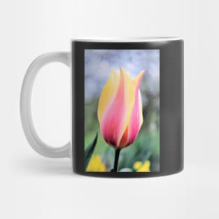 Candy colored single tulip macro Mug